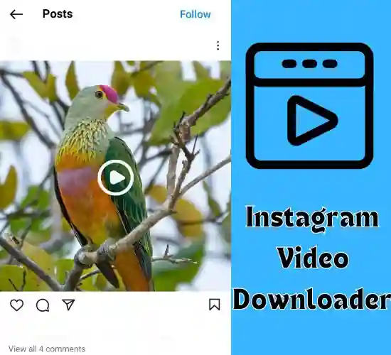 instavideosave